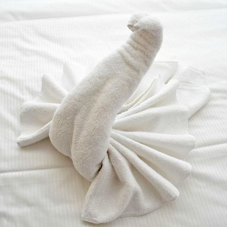 Apartmenthaus Jahreszeiten - Meerblick-Fewo 28 宾茨 外观 照片